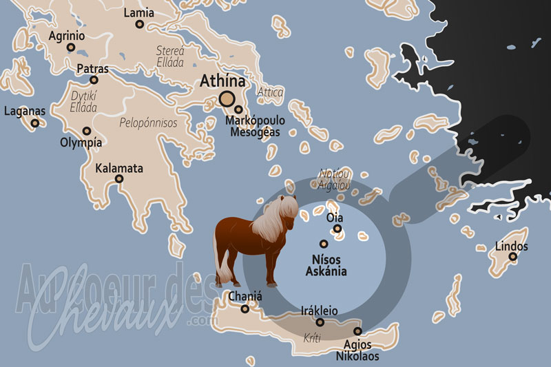 L'�le Askania, un �cosyst�me de r�silience pour les �quid�s ensauvag�s du sud de l'�g�e