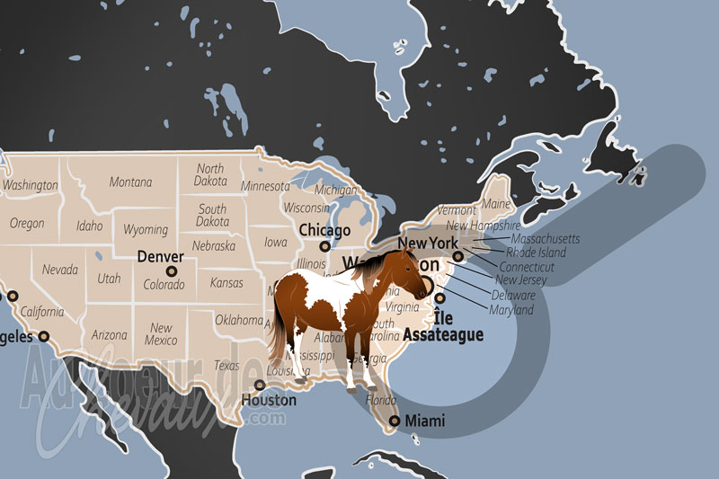 L'�le Assateague, le sanctuaire sauvage des chevaux du maryland