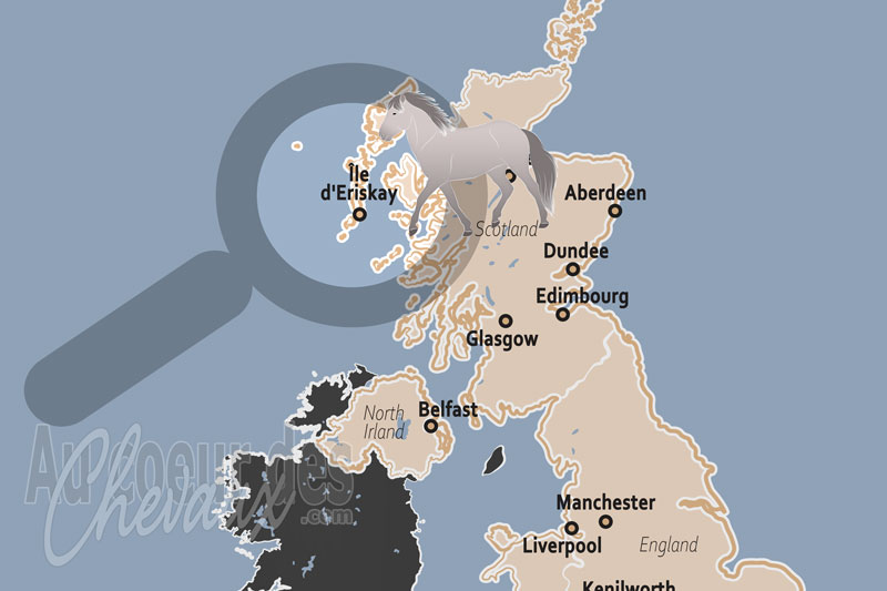 L'�le d'Eriskay, le dernier sanctuaire du poney des h�brides