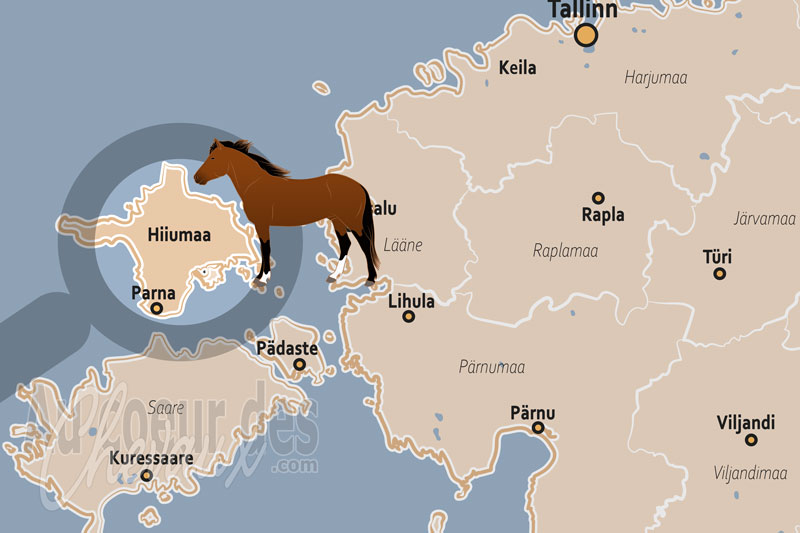 L'�le d'Hiiumaa, refuge de l'estonien natif et de l'�quitation sauvage