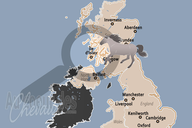 L'�le d'Islay, entre tourbi�res, distilleries et h�ritage du highland pony