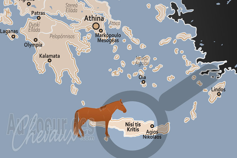 L'�le de Cr�te, le cheval messara, gardien des traditions de l'�g�e