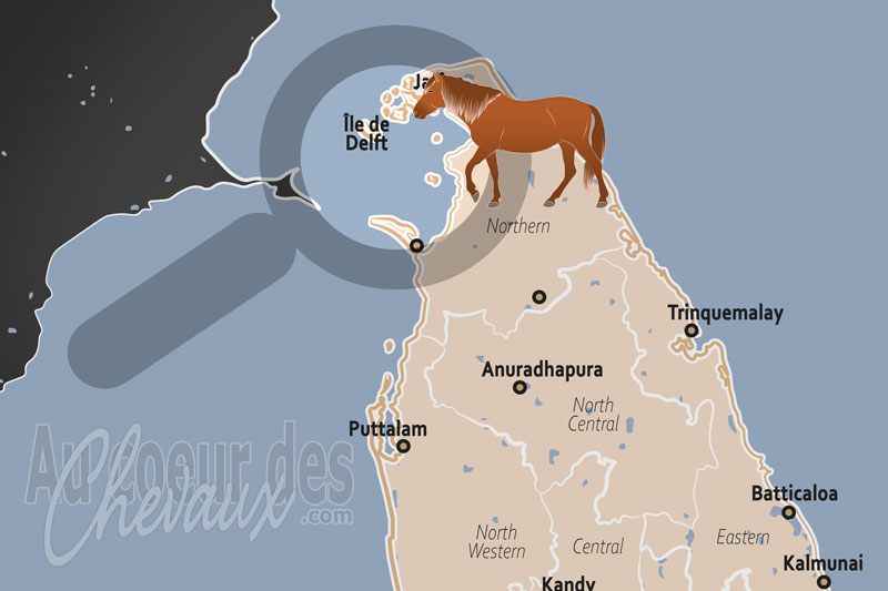 La localisation de l'�le de Delft au Sri Lanka