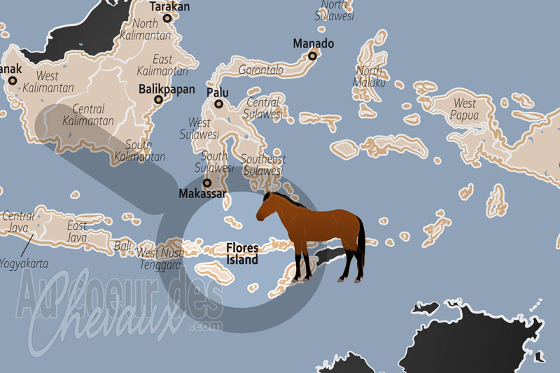 La localisation de l'�le de Flor�s en Indon�sie