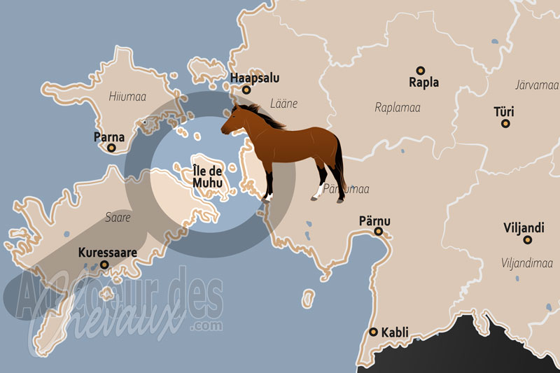 L'�le de Muhu, sanctuaire du cheval autochtone estonien et gardienne des traditions baltiques