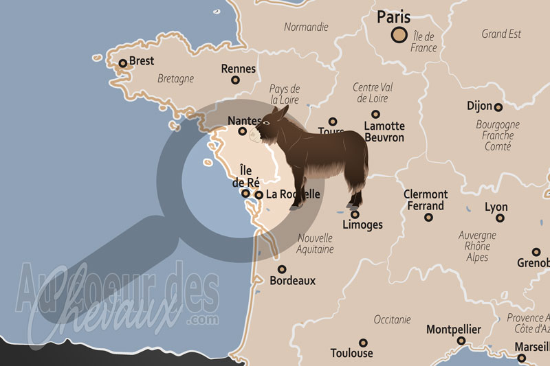 La localisation de l'�le de R� en France