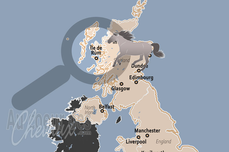 L'�le de R�m, sanctuaire et conservatoire du poney highland des h�brides