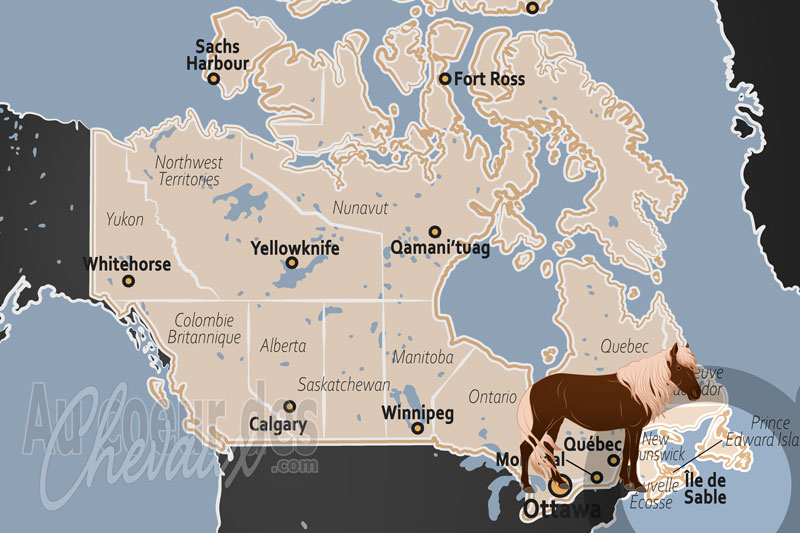La localisation dans le pays de l'�le de Sable au Canada