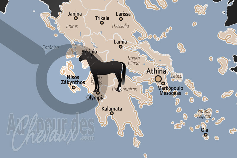 L'�le de Zante, h�ritage v�nitien et tradition �questre des �les ioniennes