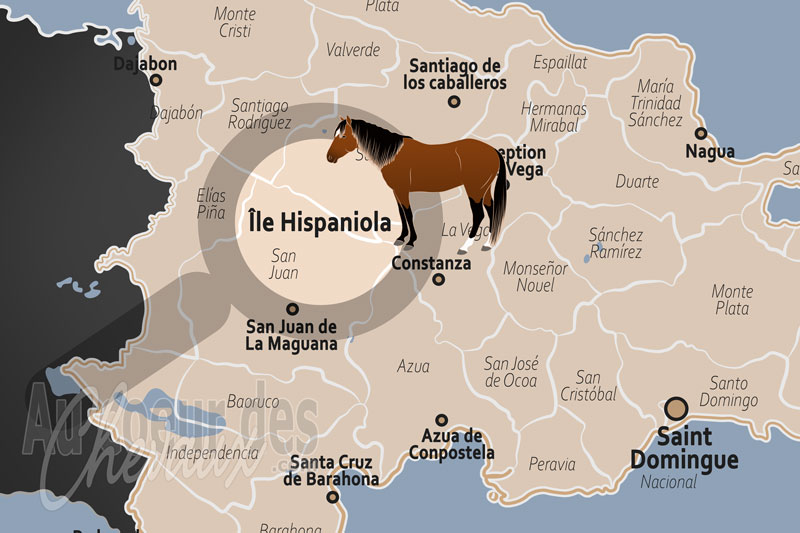 L'�le Hispaniola, berceau de l'�quitation coloniale et l'�pop�e du paso hig�eyano