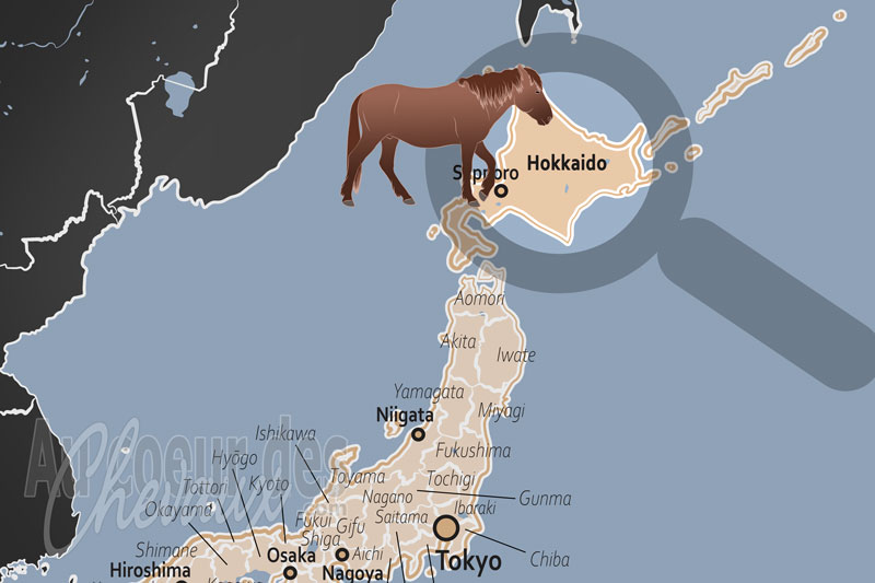 L'�le Hokka�do, le royaume des chevaux du nord et l'�pop�e du dosanko