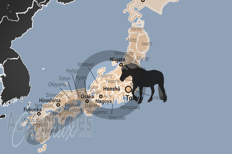 L'�le Honshu, c?ur historique et berceau de l'�quitation japonaise