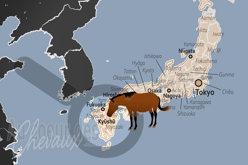 L'�le Kyushu, terre de volcans et berceau des chevaux autochtones du japon