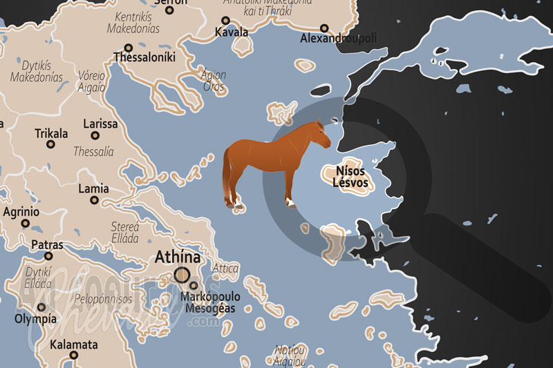 L'�le Lesbos, le sanctuaire du petit cheval de mytil�ne et des traditions �questres de l'�g�e