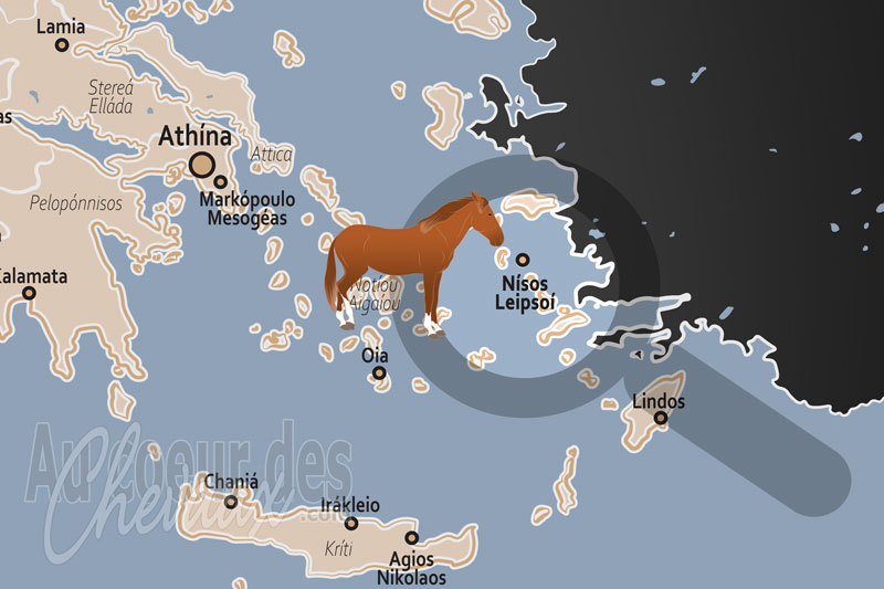 L'�le Lipsi, le sanctuaire de l'hipparion moderne et la pr�servation du cheval miniature