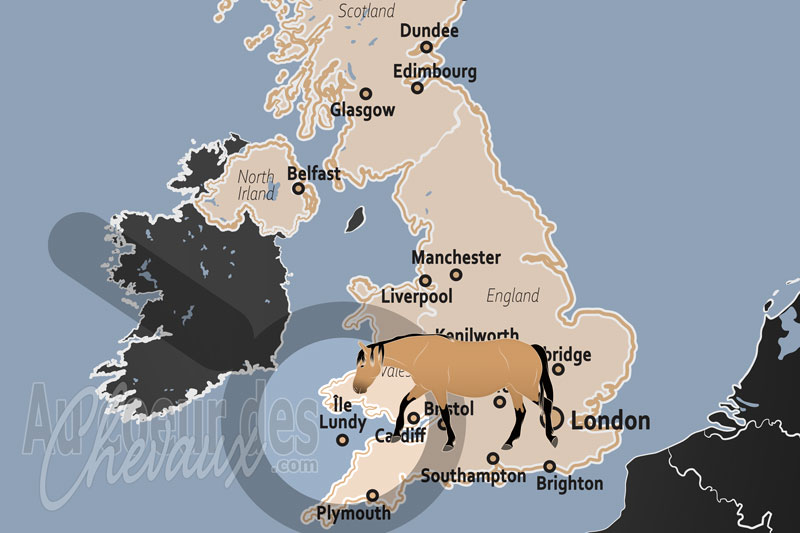 L'�le Lundy, le sanctuaire de granit et l'�pop�e du poney de lundy