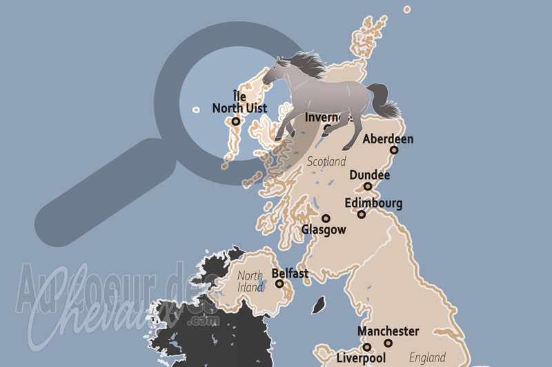 L'�le North Uist, le sanctuaire des poneys h�bridais et l'�quilibre du machair