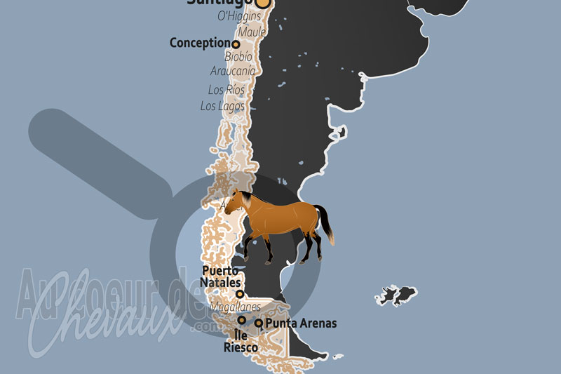 L'�le Riesco, le cheval au c?ur de la colonisation et du pastoralisme patagonien