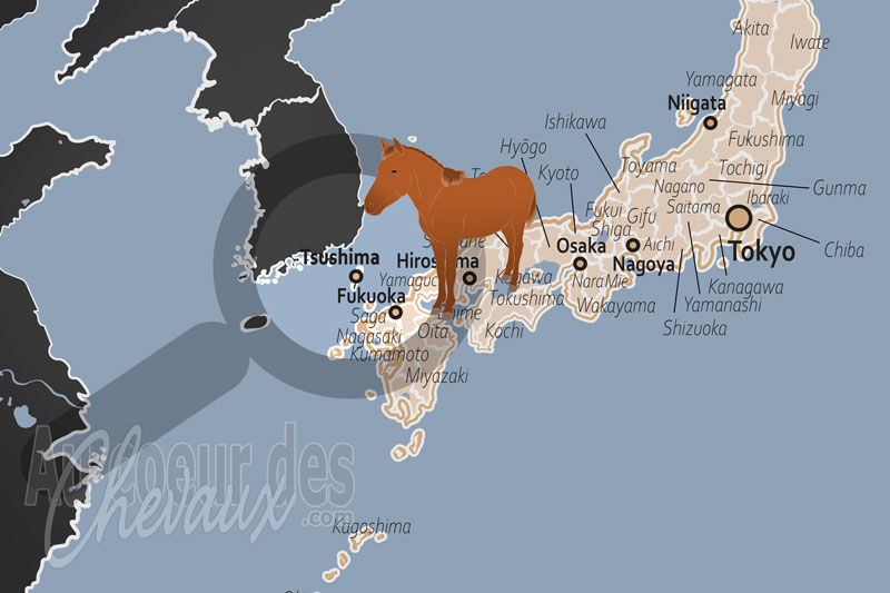 L'�le Tsushima, refuge du cheval taishu et bastion de l'h�ritage �quin japonais