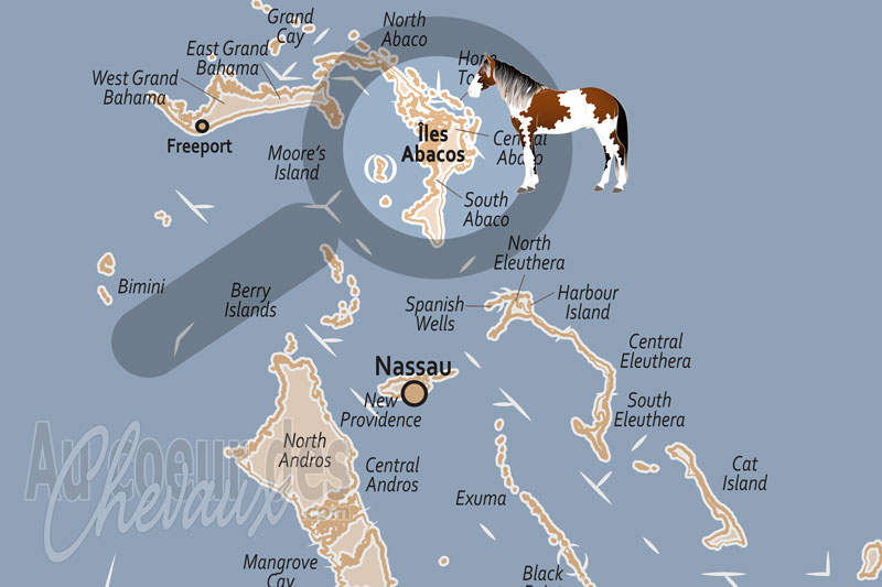 Les �les Abacos, l'h�ritage tragique et la m�moire du barbe d'abaco
