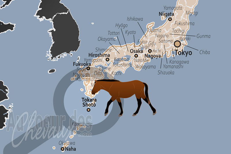 Les �les Tokara, sanctuaire insulaire du poney tokara et de la biodiversit� �quine japonaise