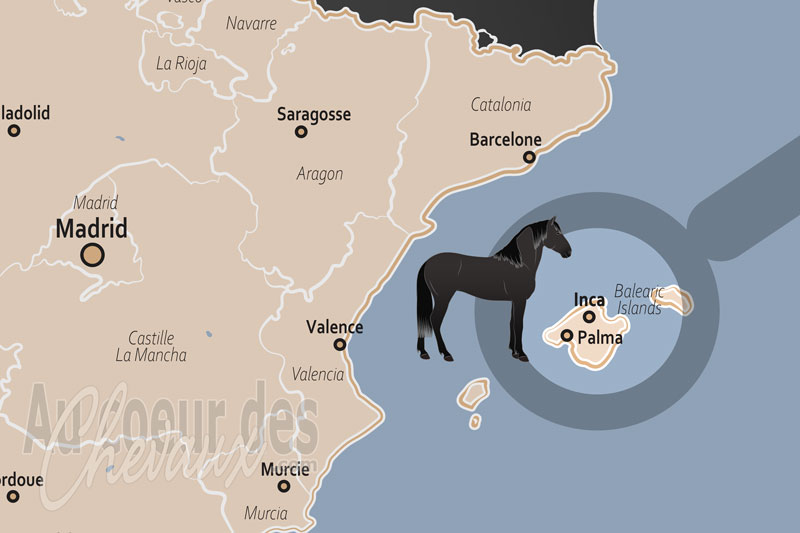 Inca, carrefour de l'�levage et du savoir-faire �questre au c?ur de majorque