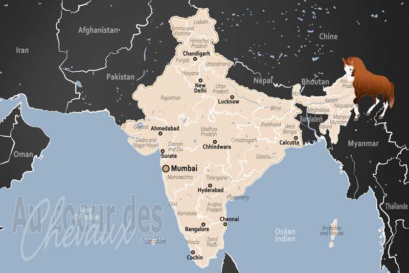 L'Inde, noblesse guerri�re, traditions sacr�es et puissance sportive