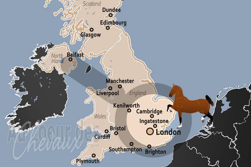 Ingatestone, un bastion de l'�quitation traditionnelle et du commerce �quin dans l'essex