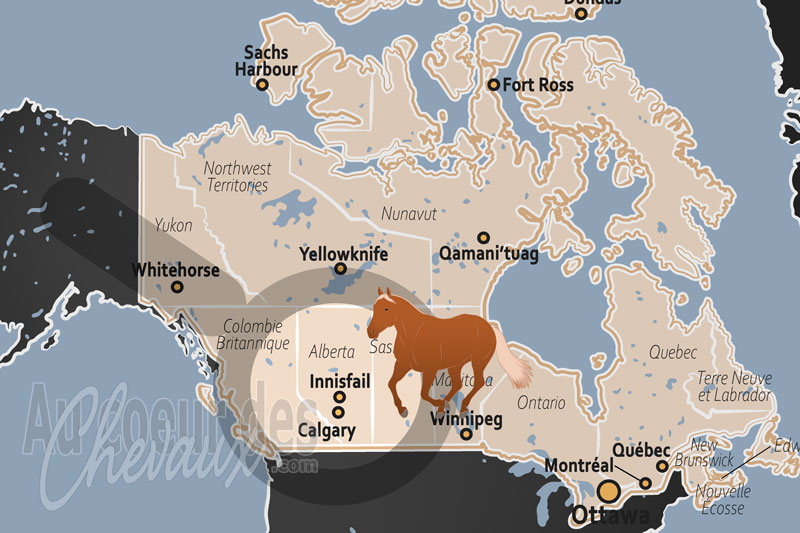Innisfail, un pilier de la culture �questre et du rod�o dans les prairies de l'alberta