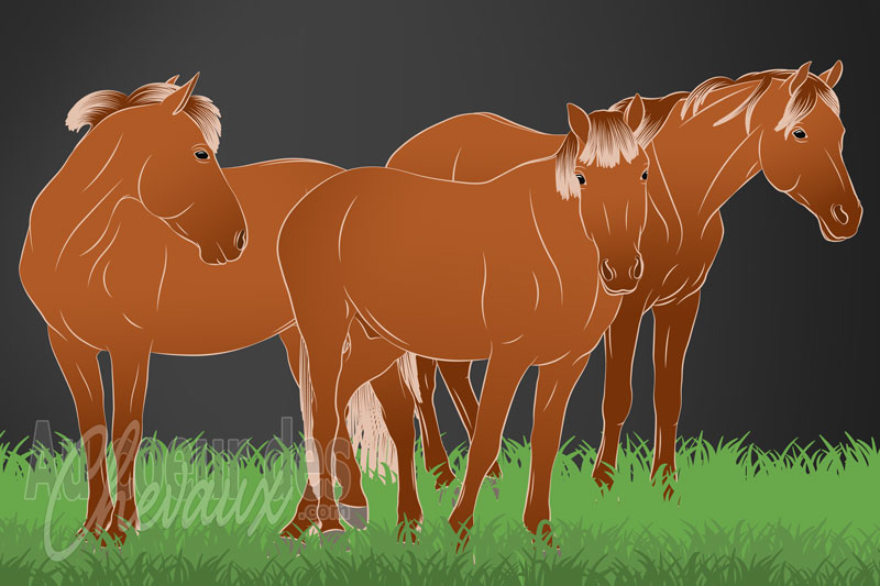 L'Instinct du cheval, fondements �thologiques et strat�gies de survie