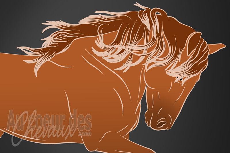 L'Instinct de conservation du cheval, m�canismes de survie et adaptations �thologiques