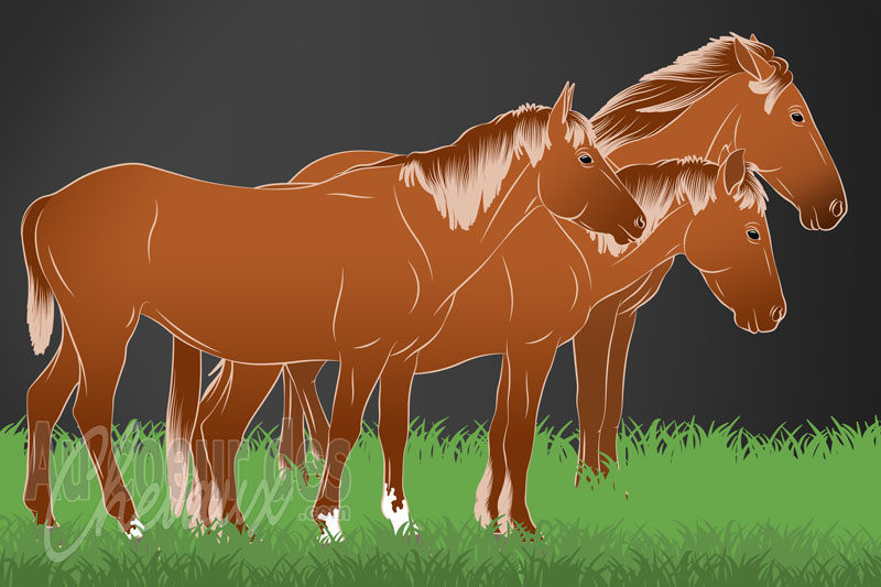 L'Instinct gr�gaire du cheval, fondements sociaux et imp�ratifs biologiques