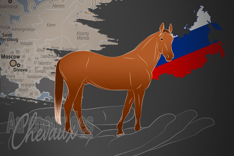 L'Institut de Recherche sur l'�levage de Chevaux Russe, un organisme de gestion de l'orlov en russie