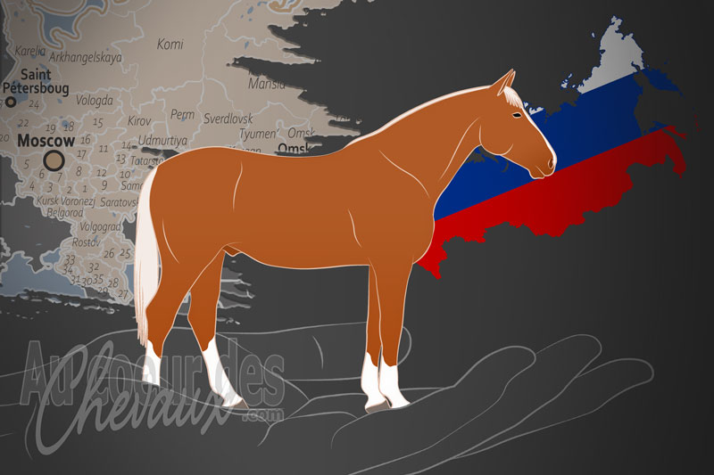 L'Institut Russe de l'�levage de Chevaux, une organisation qui g�re le cheval don en russie