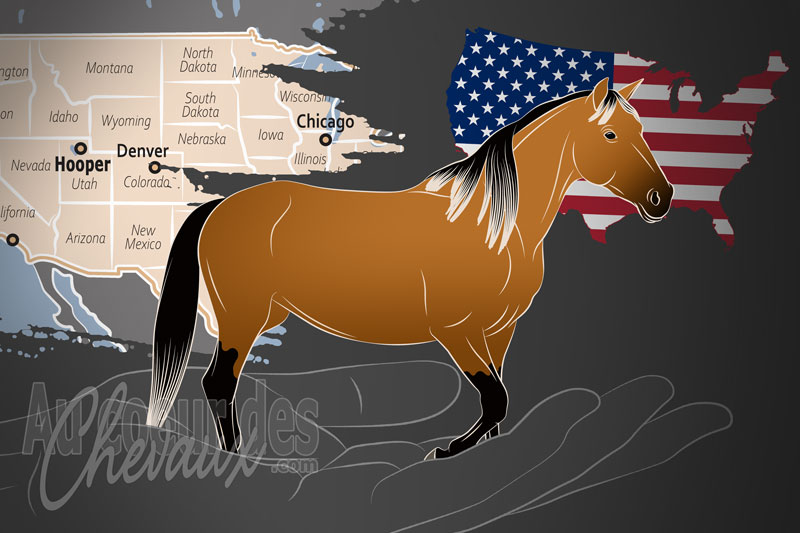Le Registre et Association Internationale de l'Abstang, un organisme de gestion de l'abstang aux �tats unis