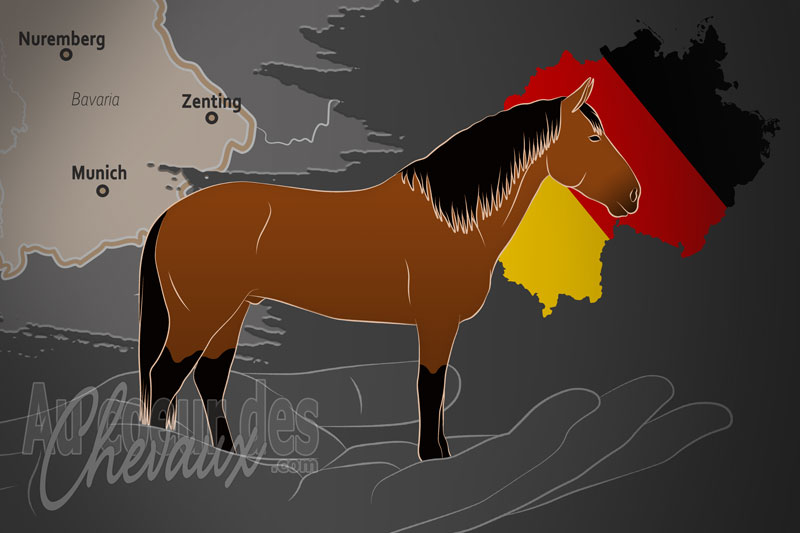 L'Association Internationale du Cheval Kabardin, une organisation qui g�re le cheval kabardin en allemagne