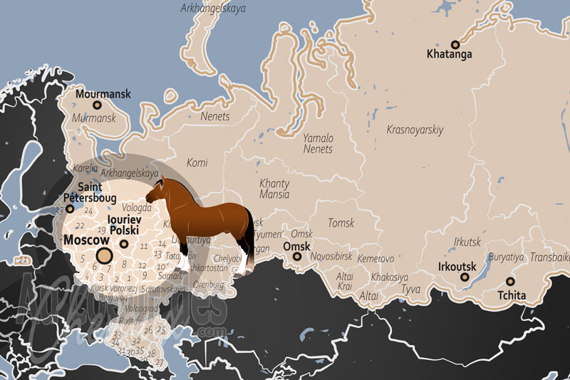 La localisation d'Iouriev Polski en Russie