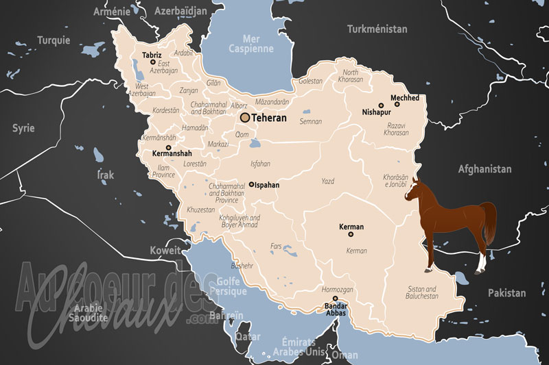 L'Iran, berceau des lign�es ancestrales et h�ritage de la perse
