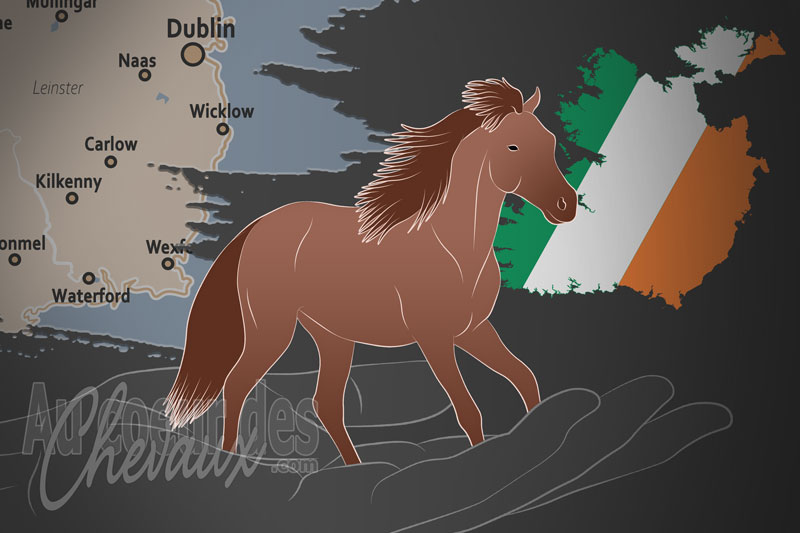 La Soci�t� Irlandaise des Chevaux Miniatures, un organisme de gestion de l'irish miniature en irlande