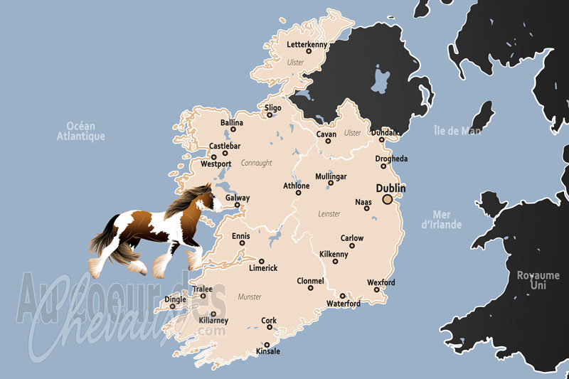 L'Irlande, l'excellence de la � terre du cheval �