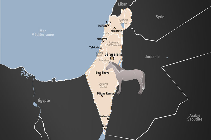 Isra�l, entre tradition mill�naire, sport de haut niveau et innovation th�rapeutique