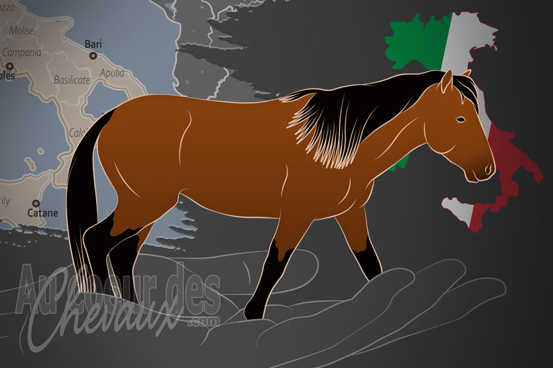 L'Institut d'�levage de Chevaux, un organisme de gestion du giara en italie