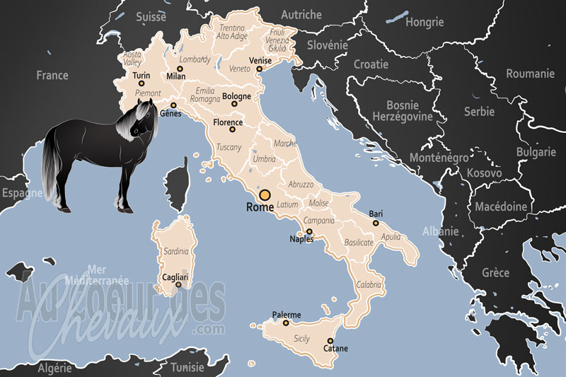 L'Italie, excellence sportive, patrimoine de races et traditions s�culaires