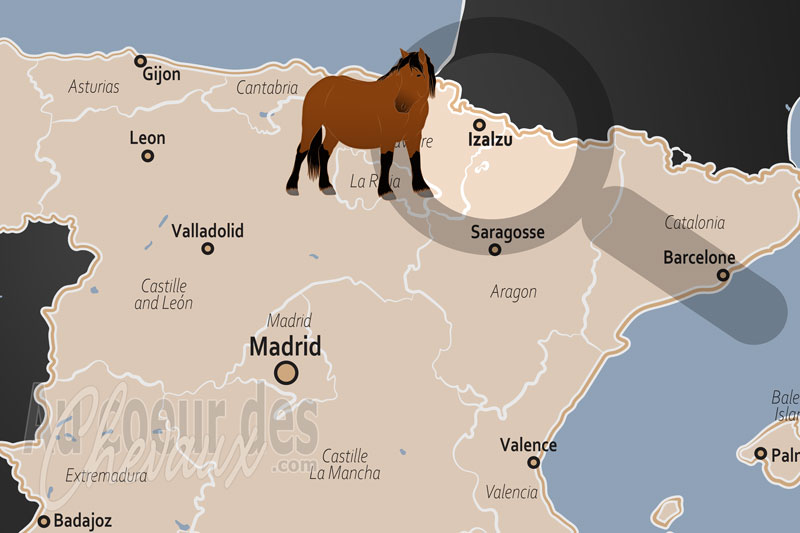 Izalzu, refuge pyr�n�en du cheval de montagne et de la tradition pastorale