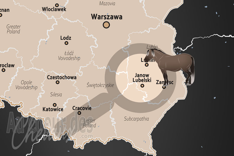Janow Lubelski, sanctuaire du konik et h�ritage �questre des for�ts de lubelskie