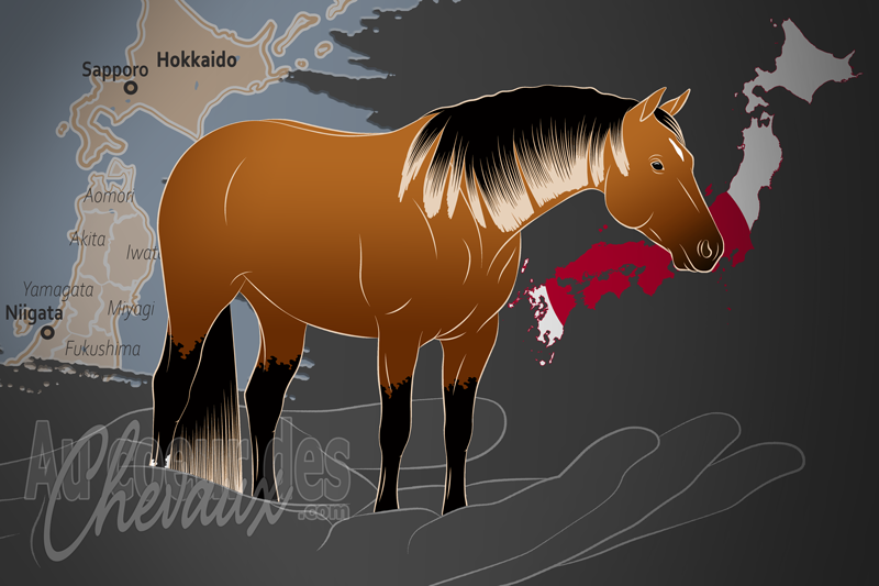 La Japan Quarter Horse Association un organisme de race au Japon