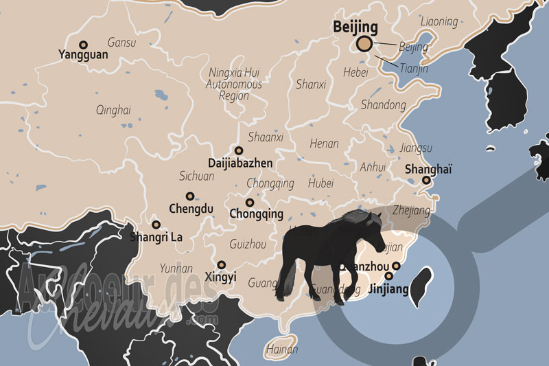Jinjiang, pr�servation du cheval c�tier et essor de l'�quitation sportive dans le fujian