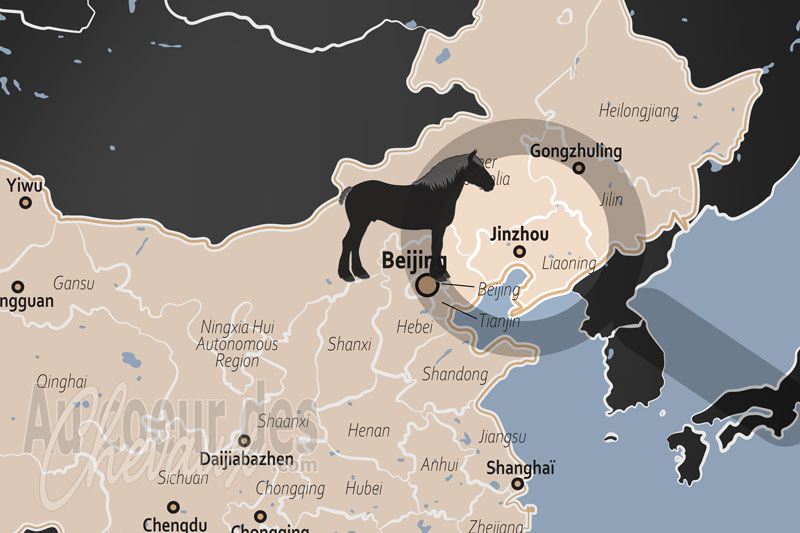 Jinzhou, entre h�ritage de la cavalerie mandchoue et �mergence de l'industrie �questre moderne au liaoning