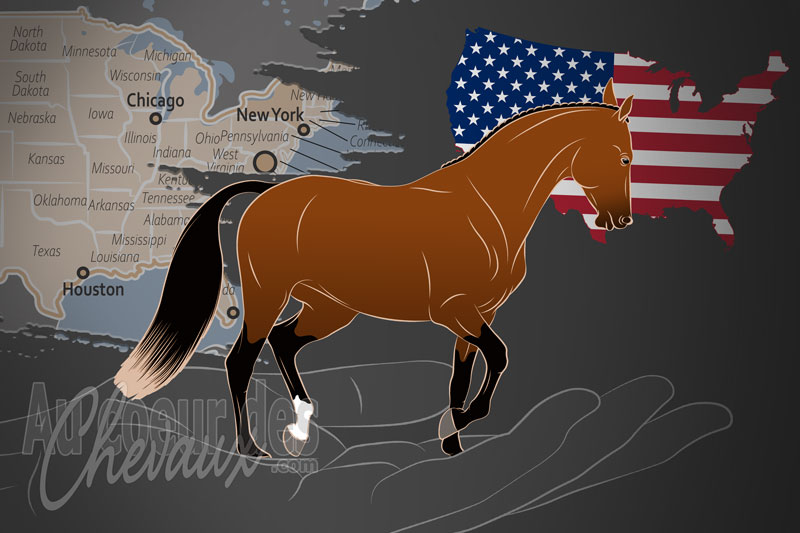 Le Jockey Club des �tats Unis d'Am�rique, une organisation qui g�re le cheval pur sang aux �tats unis
