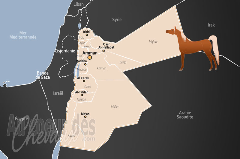 La Jordanie, h�ritage des hash�mites et noblesse du d�sert